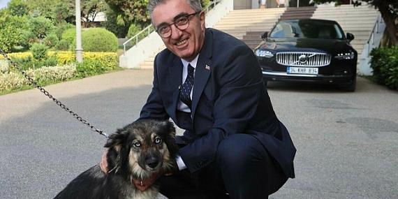 Bayrampaşa Belediye Başkanı Hasan Mutlu Köpek Sahiplendi…