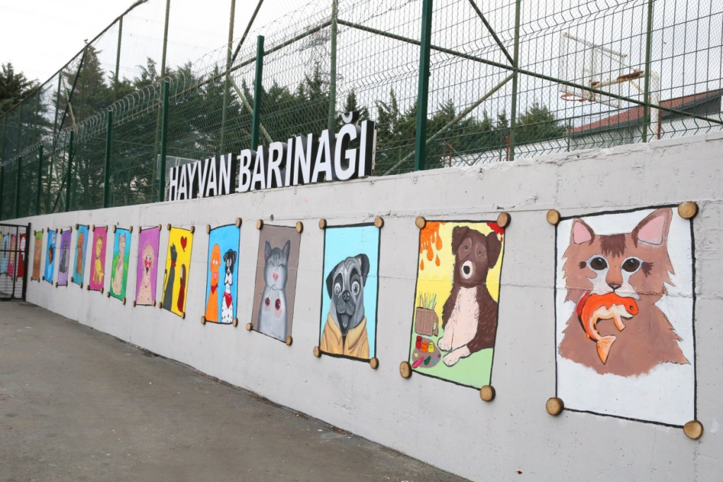 Bayrampasali onlarca lise ogrencisi Bayrampasa Belediyesi Hayvan Bakim Merkezinin duvarlarina birbirinden guzel kedi ve kopek resimleri cizerek hayvan sevgisini sanata donusturdu. 4