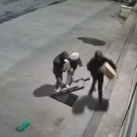 Bayrampaşa'da kafasına şeffaf poşet geçirip güvercin çalan şüpheliler kamerada 105 bayrampaşa