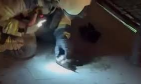 Bayrampaşa’da Alevler Tekstil Atölyesini Küle Çevirdi! 2 thumbnail