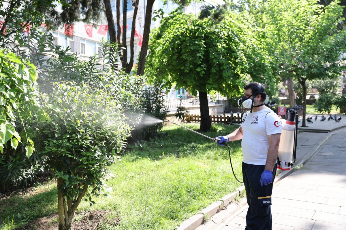 Bayrampaşa Belediyesi Yaz Sezonu İlaçlama Çalışmalarına Hız Verdi 29 sinek